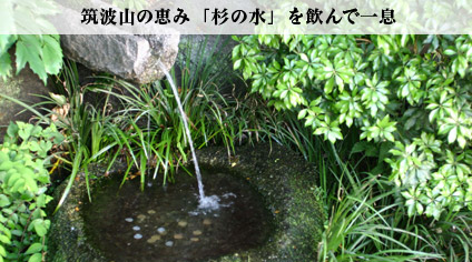 筑波山の恵み「杉の水」を飲んで一息