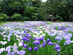 究極の美！特別名勝・日本庭園の世界